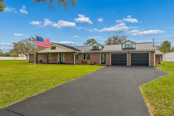 16218 Fringe Tree Drive, SPRING HILL, FL 34610