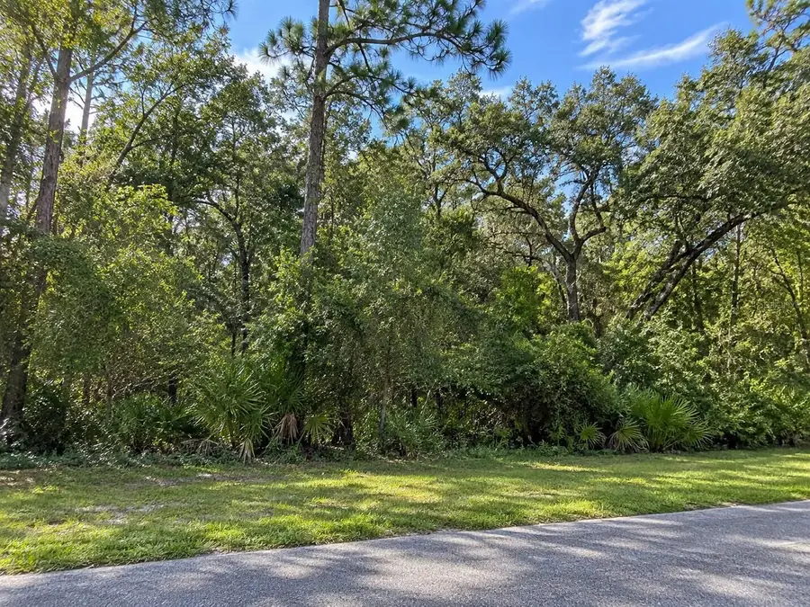 Lithia Pinecrest Road, Valrico, FL 33596 - #2