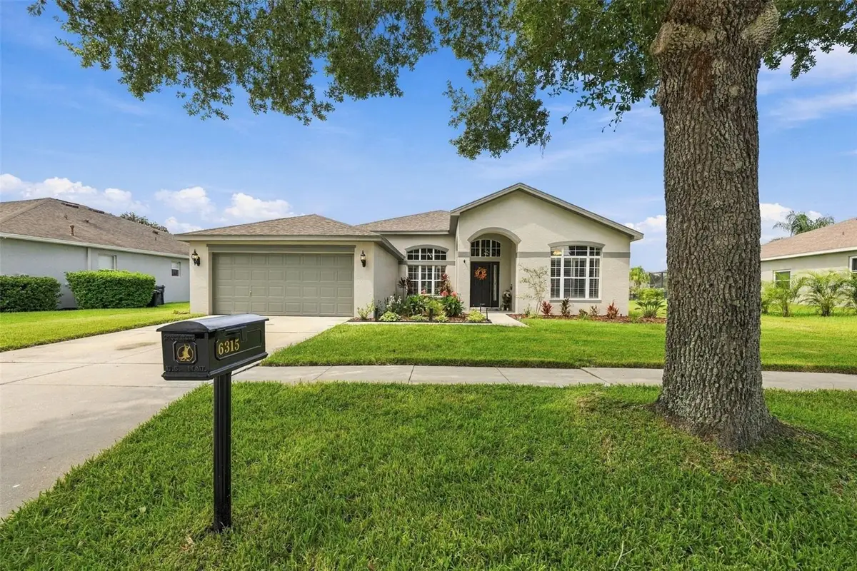 6315 Bridgevista Drive, Lithia, FL 33547 - #1