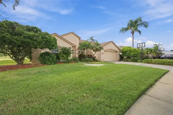 878 Centerwood Drive, TARPON SPRINGS, FL 34688