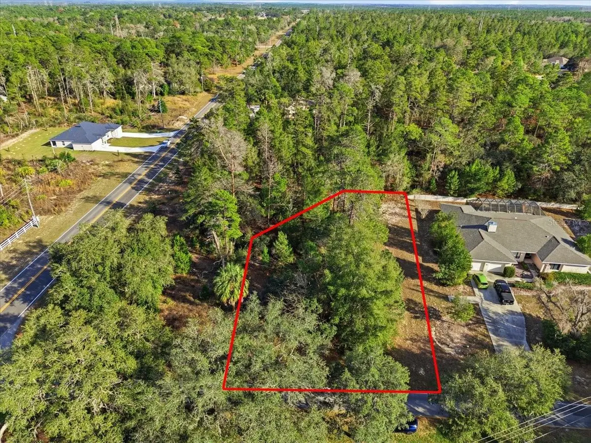 118 Oak Village Boulevard, Homosassa, FL 34446 - #1