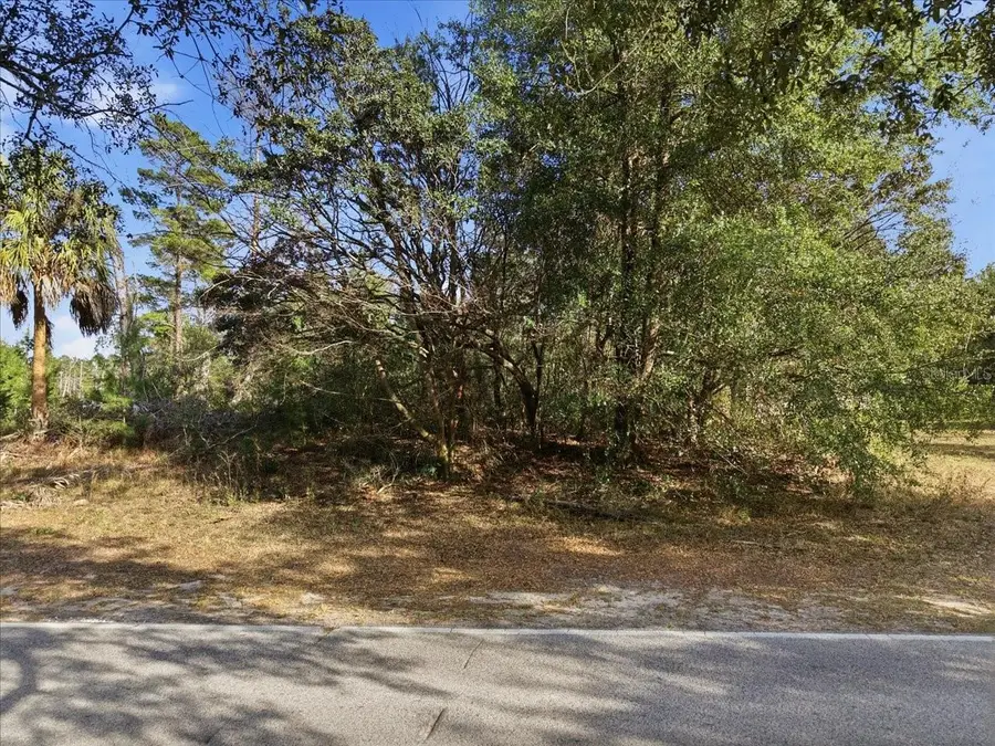 118 Oak Village Boulevard, Homosassa, FL 34446 - #3