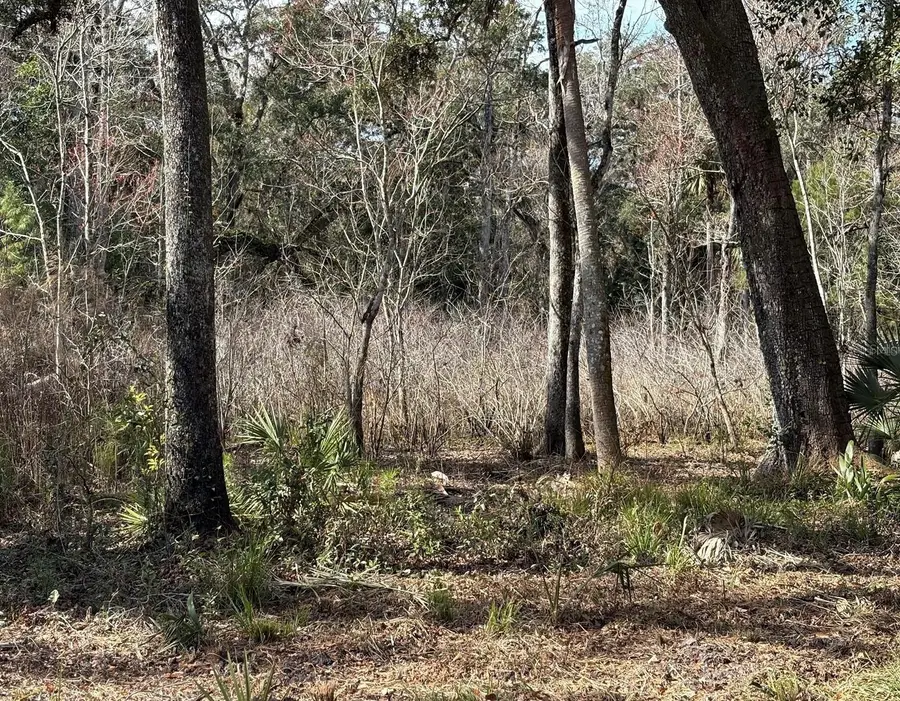 Lake Lindsey Road, Brooksville, FL 34601 - #3