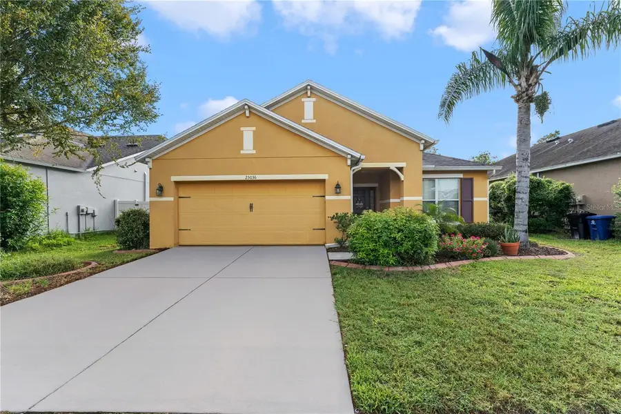 23036 Wood Violet Court, Land O Lakes, FL 34639 - #2