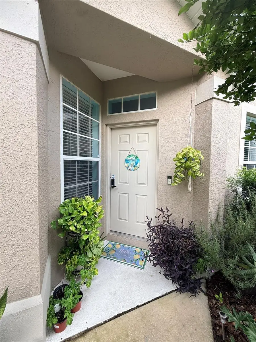 6237 Duck Key Court, Tampa, FL 33625 - #1