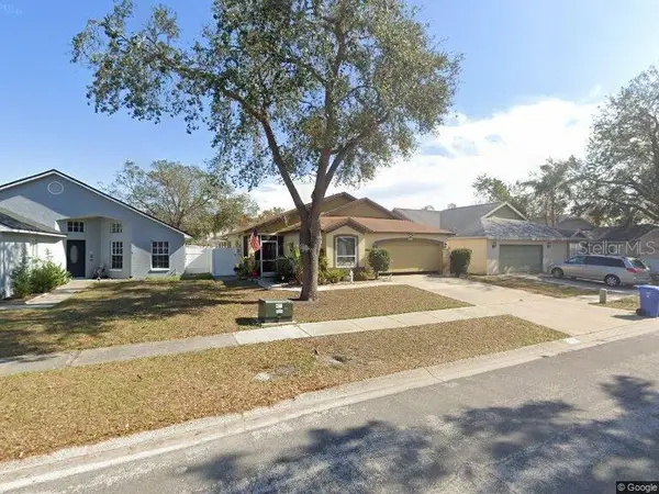 10251 Allenwood Drive, RIVERVIEW, FL 33569