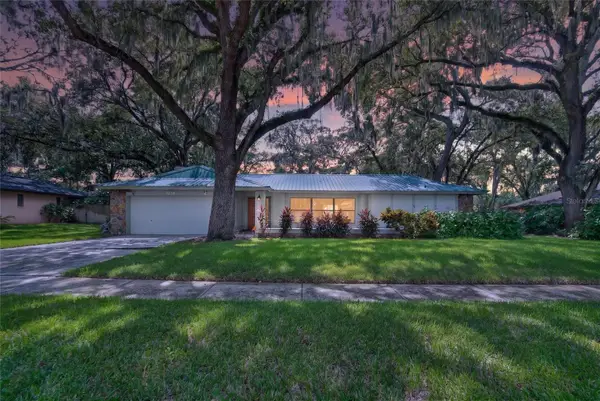 3038 Wister Circle, VALRICO, FL 33596