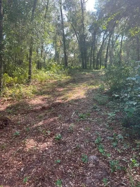 Elaine Drive, WEBSTER, FL 33597