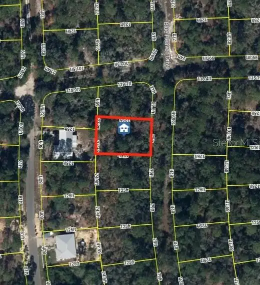 236 Blue Heaven Drive, Lake Placid, FL 33852 - #1