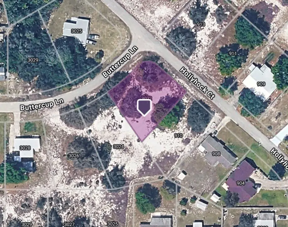 3022 Buttercup Lane, Lake Placid, FL 33852 - #1