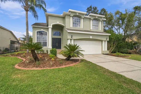 3829 Cold Creek Drive, VALRICO, FL 33596