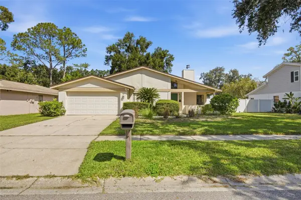 4609 Deerwalk Avenue, TAMPA, FL 33624