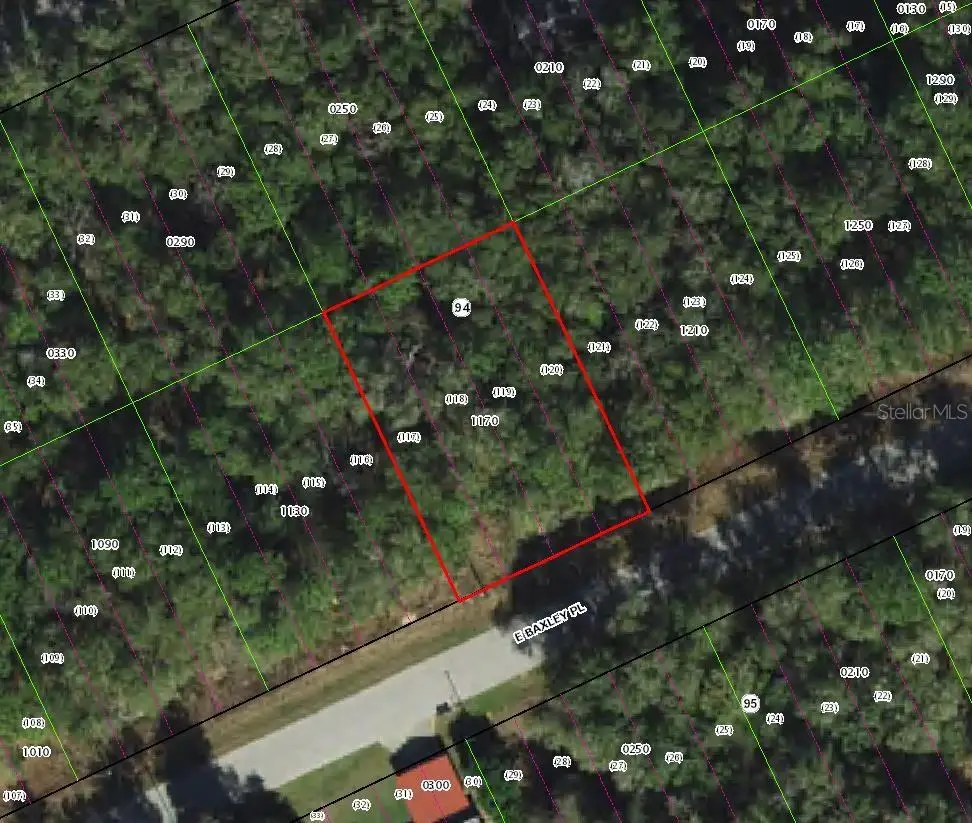 3669 E Baxley Place, Inverness, FL 34453 - #1