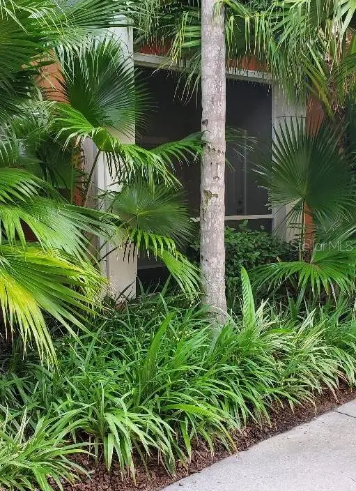 4207 S Dale Mabry Highway S #5109, Tampa, FL 33611 - #1