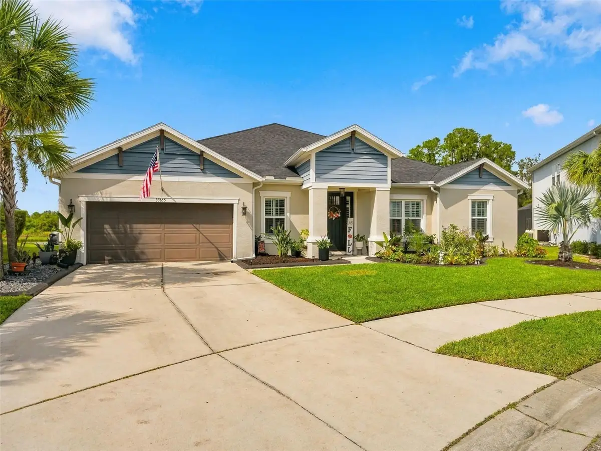 33655 Willow Point Court, Wesley Chapel, FL 33545 - #1