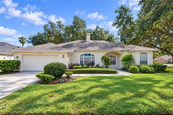 2255 Eagle Bluff Drive, VALRICO, FL 33596