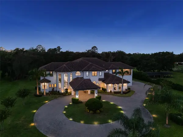 3111 John Moore Road, BRANDON, FL 33511