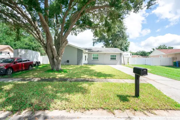 13915 Bridgeport Drive, TAMPA, FL 33625