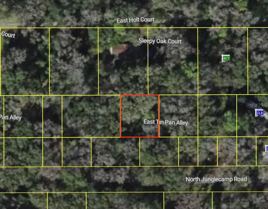 9285 E Tin Pan Alley, Inverness, FL 34453 - #1