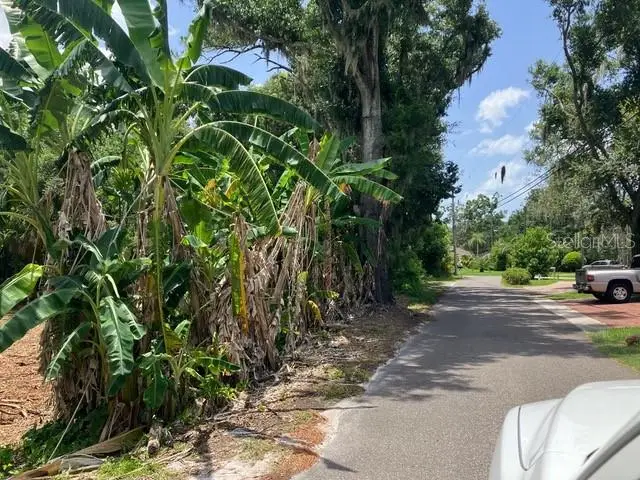 Donna Lu Drive, Odessa, FL 33556 - #3