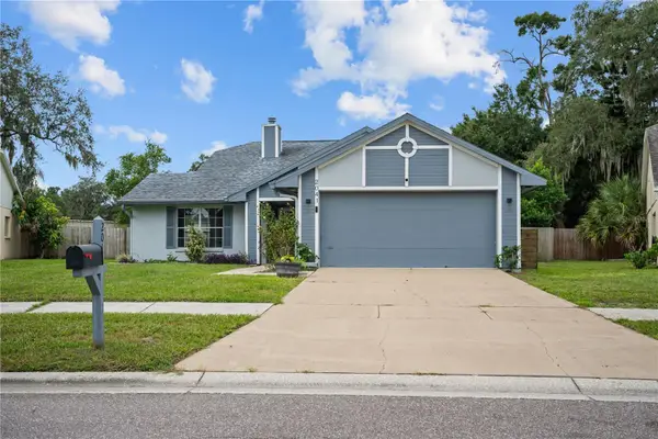 2041 Shadow Pine Drive, BRANDON, FL 33511