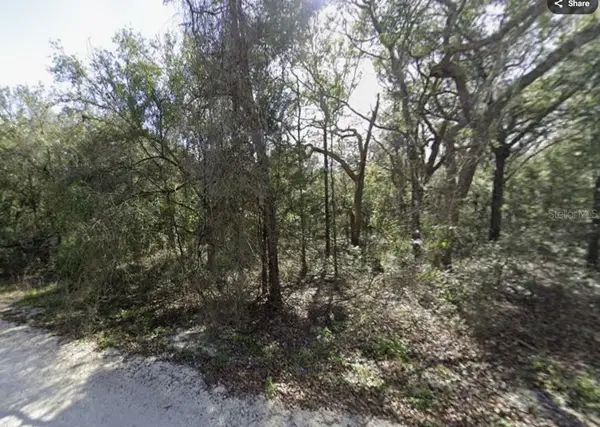34086 Arrowrock Street, WEBSTER, FL 33597