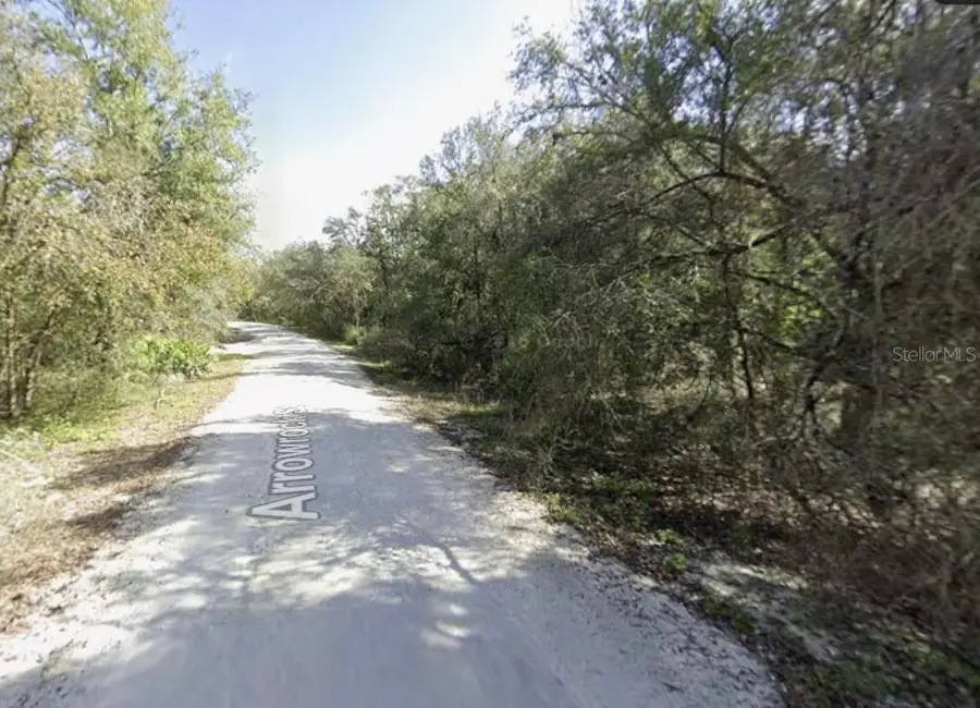 34086 Arrowrock Street, Webster, FL 33597 - #2