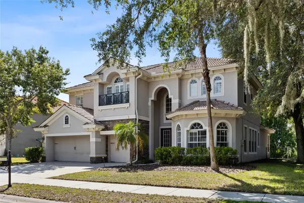 9113 Creedmoor Lane, NEW PORT RICHEY, FL 34654
