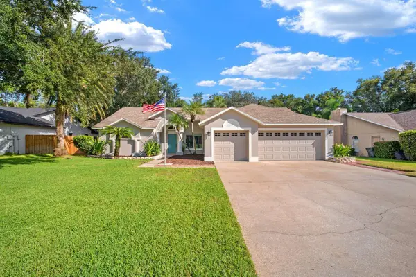 3912 Appletree Drive, VALRICO, FL 33594
