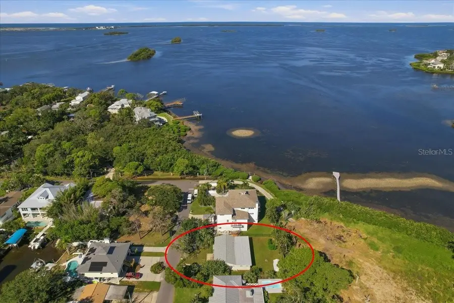 402 Orchid Lane, Palm Harbor, FL 34683 - #3