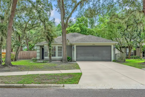 4002 Levonshire Place, VALRICO, FL 33596