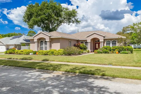 1555 Sunray Drive, PALM HARBOR, FL 34683