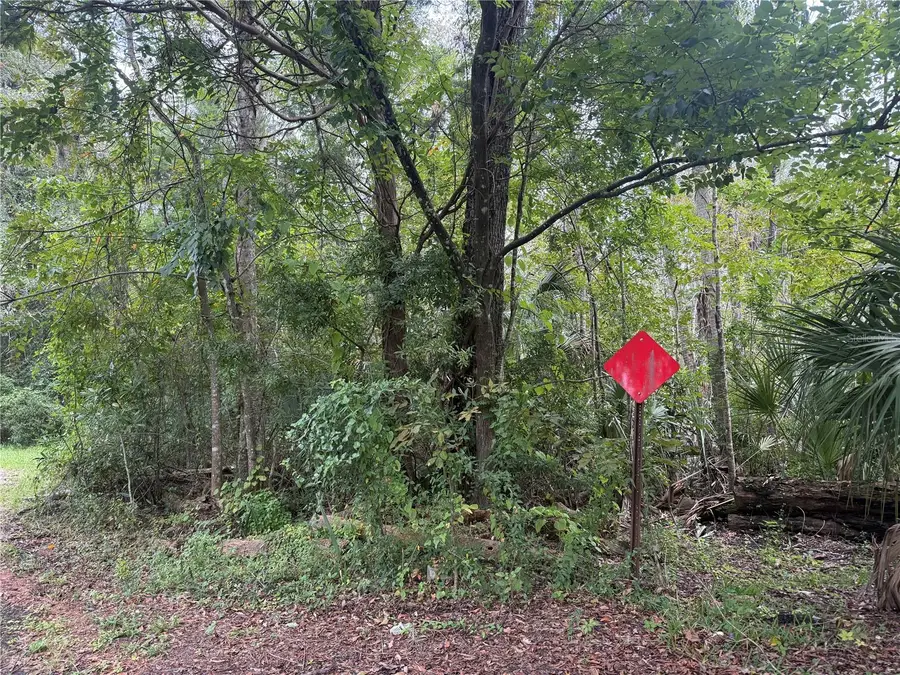10103 W Main Street, Homosassa, FL 34448 - #2