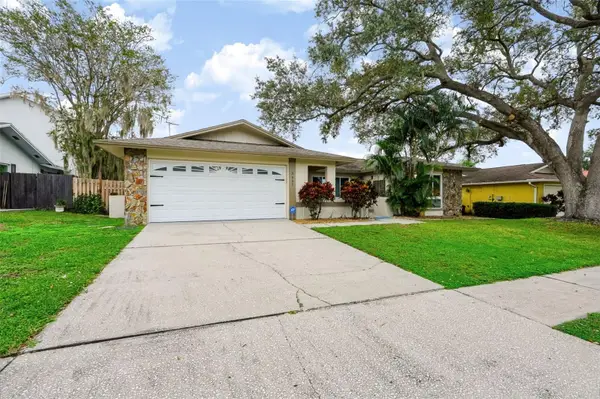 3437 Dove Hollow Court, PALM HARBOR, FL 34683