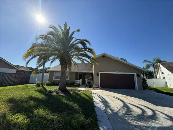12005 Misty Brook Court, TAMPA, FL 33635