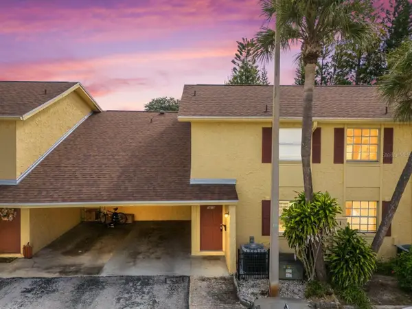 7609 La Mesita Court, TAMPA, FL 33615