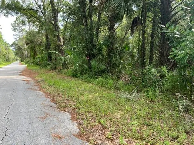 8888 N Ira Martin Avenue, Crystal River, FL 34428 - #2