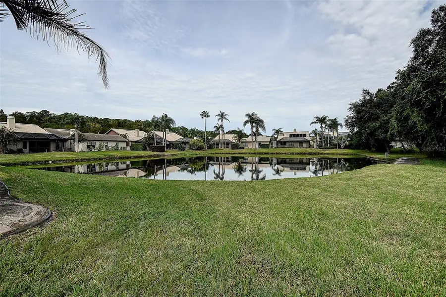 3609 Darston Street, Palm Harbor, FL 34685 - #2