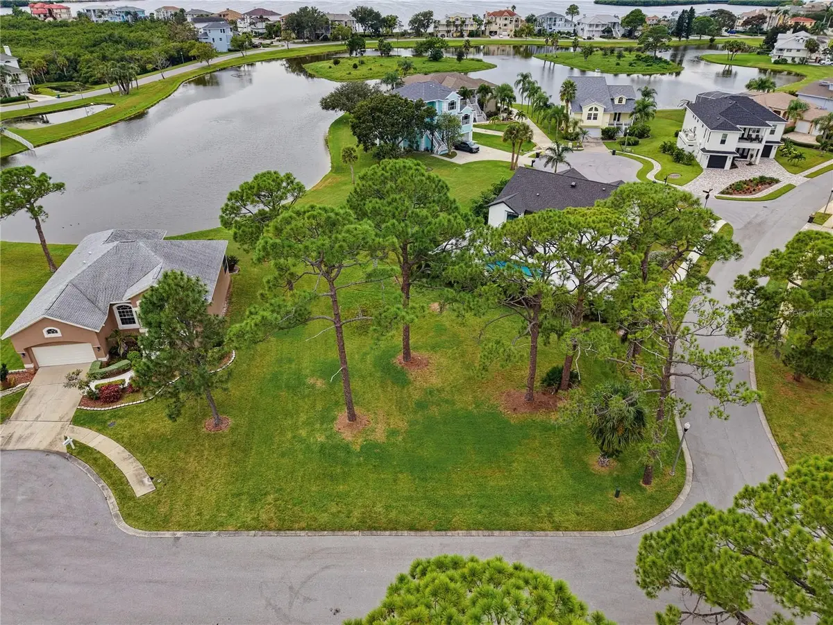 Otter Court, Tarpon Springs, FL 34689 - #1