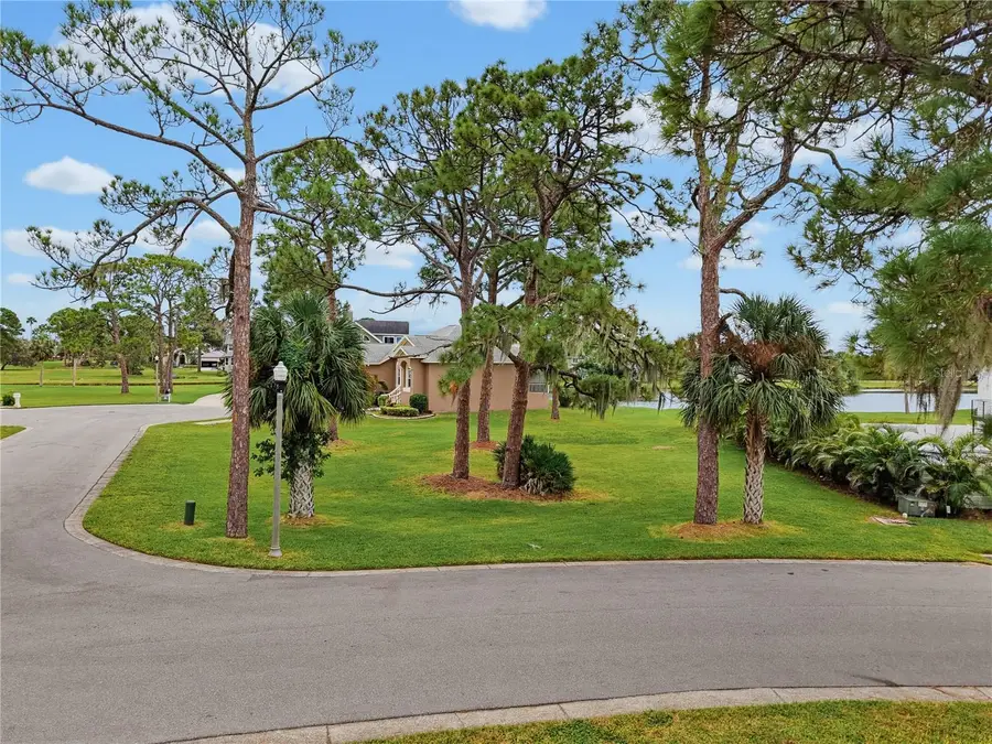 Otter Court, Tarpon Springs, FL 34689 - #3