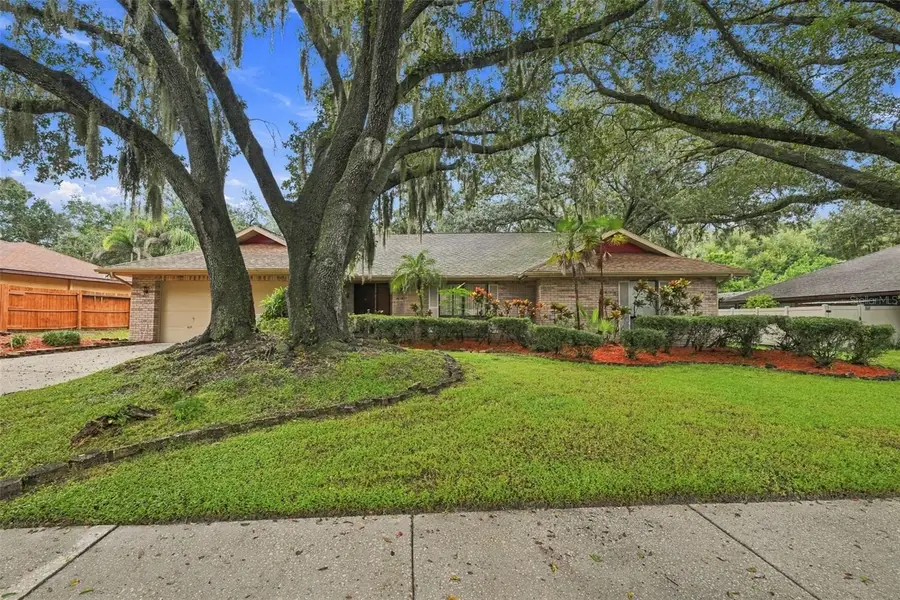 2609 Manor Oak Drive, Valrico, FL 33596 - #3