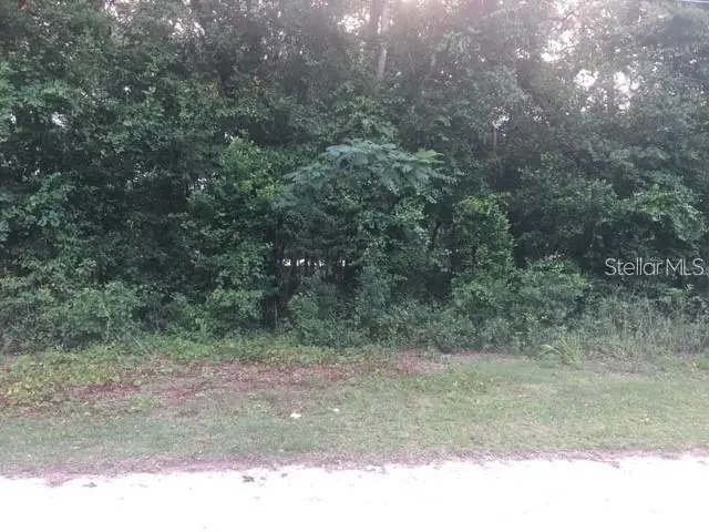 170 NE 169th Avenue, Silver Springs, FL 34488 - #2