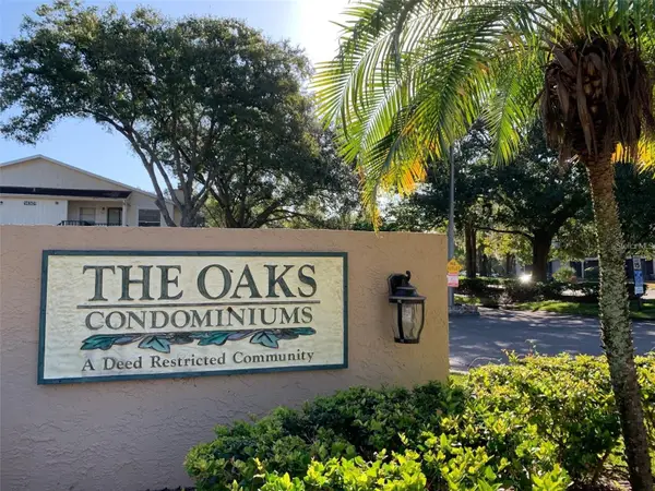 14225 Shadow Moss Lane #102, TAMPA, FL 33613