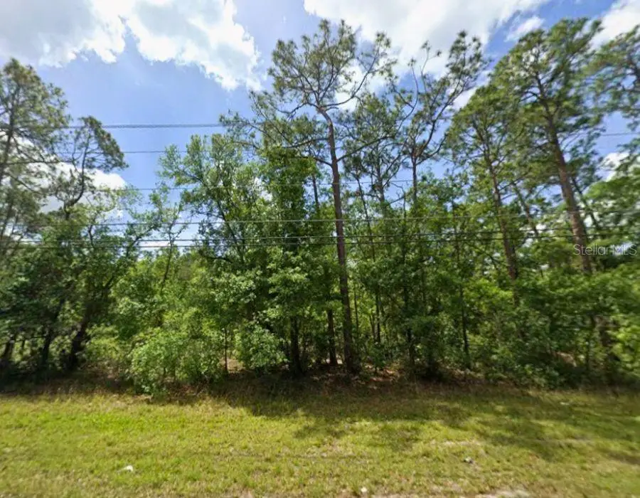 Creekwood Run, Lakeland, FL 33809 - #2