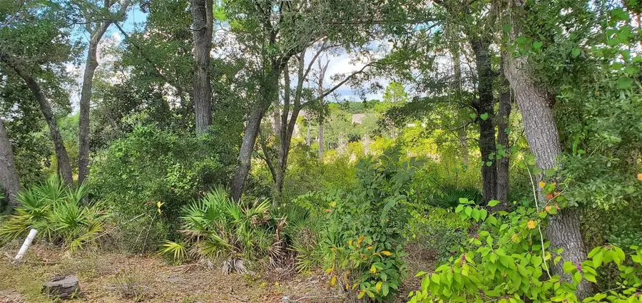6 Cove Creek Lane, Inlet Beach, FL 32413 - #2