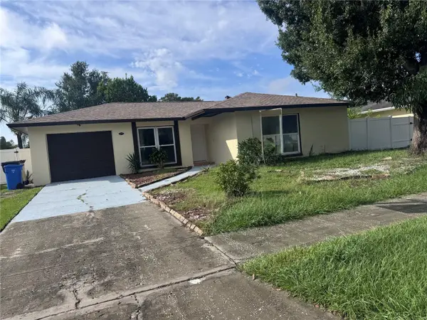 5208 Carrollwood Meadows Drive, TAMPA, FL 33625