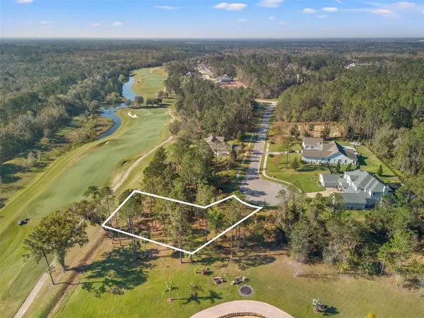 20132 English Walnut Place, BROOKSVILLE, FL 34601