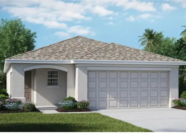 10412 Carloway Hills Drive, WIMAUMA, FL 33598