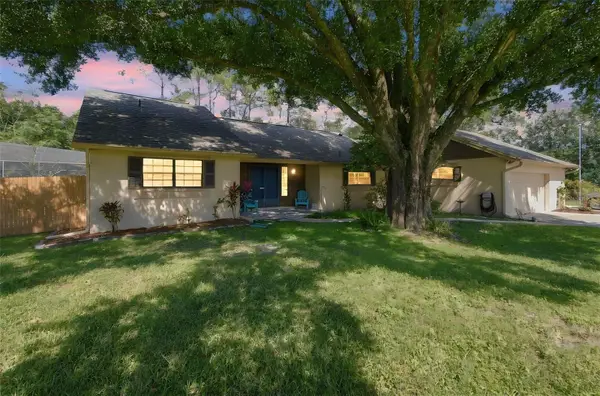 3180 Lake Saxon Drive, LAND O LAKES, FL 34639