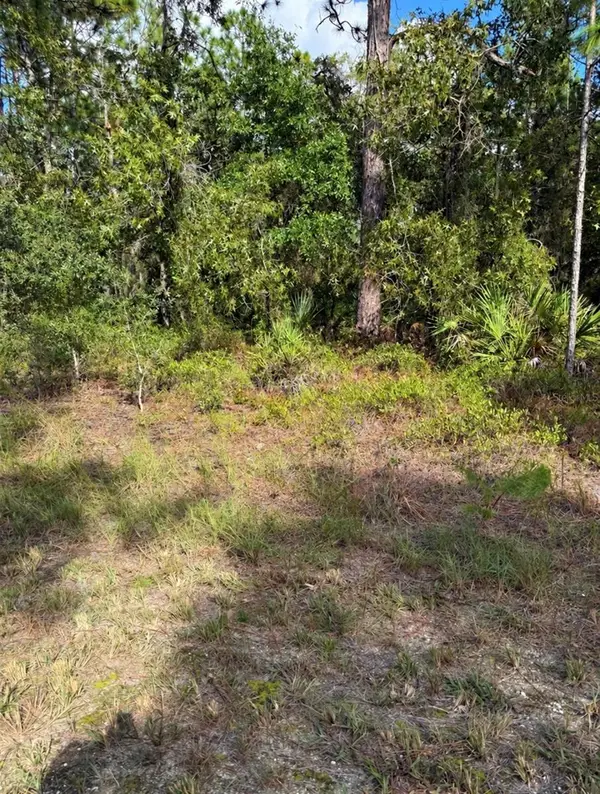16154 Malden Road, WEEKI WACHEE, FL 34614